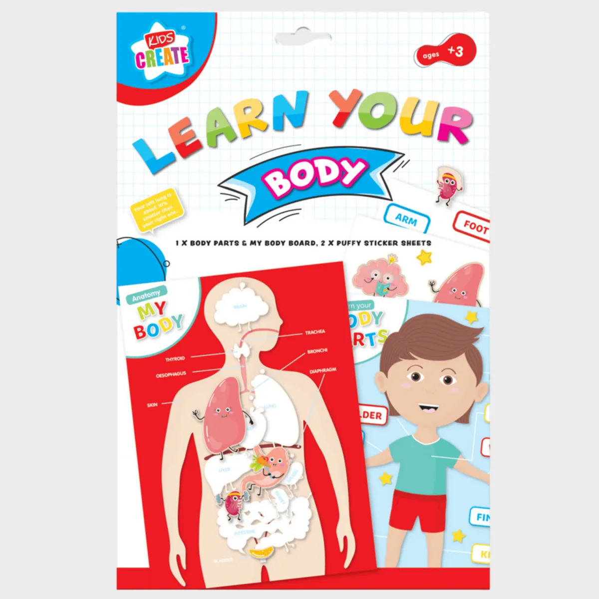 Hot Learn Your Body Arts & Crafts